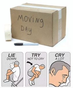 crying day moving meme